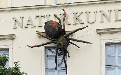 Naturkundemuseum