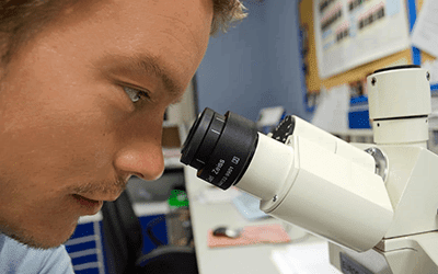 Lange Nacht der Wissenschaften