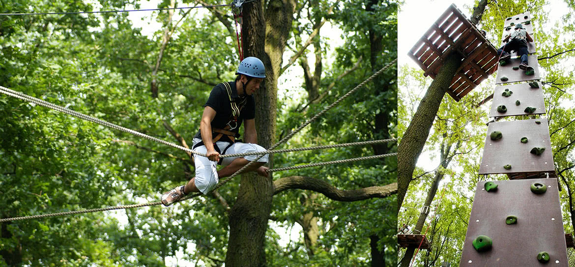 Kletterwald